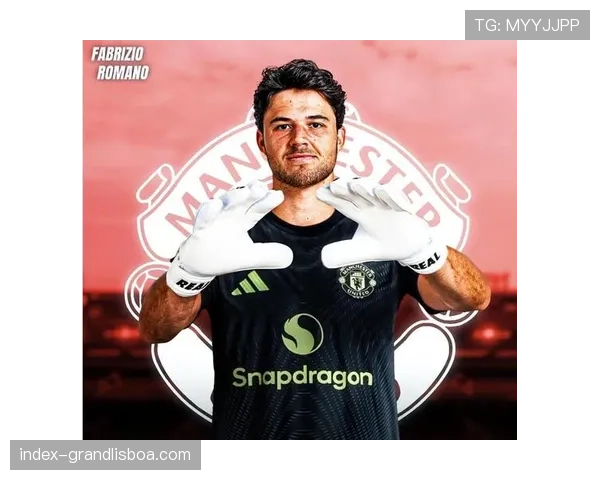 沙特联冬季转会窗口将至 多支球队瞄准防线补强